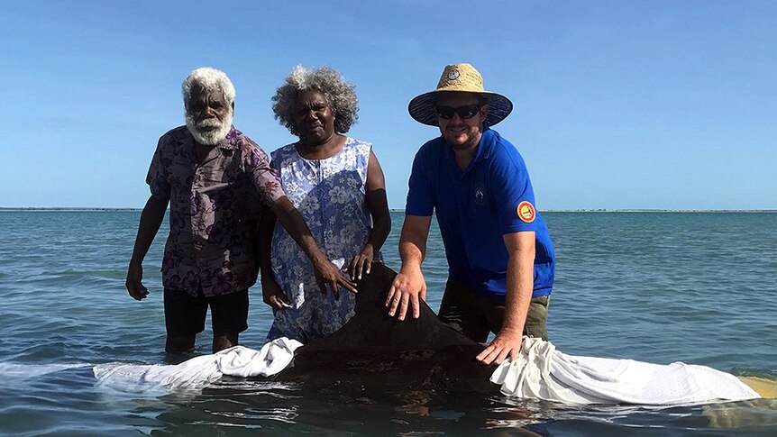 Senior rangers Philip Mamarika, Jennifer Yantarrnga and Adrian Hogg stand with a stranded false killer whale.