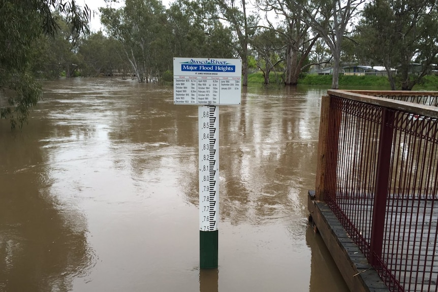 A post measuring the level of major flooding surrounded by a swollen river.
