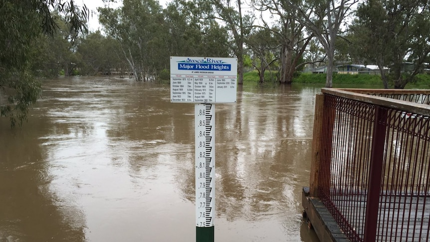 Flood waters in the Avoca River at Charlton drop