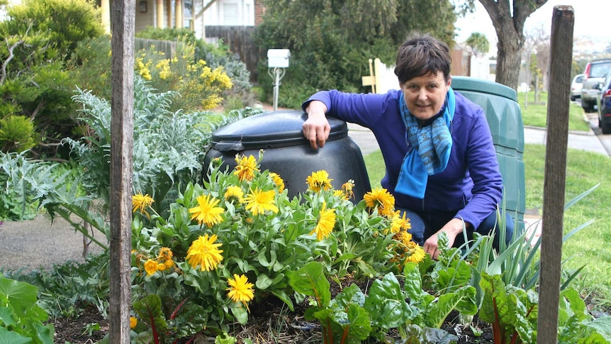 a woman stands next to a vegetable plot and looks at the camera.