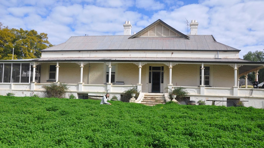 The farm house at Moorna Station surrounded by clover, with owner Annabel crouching out the front.