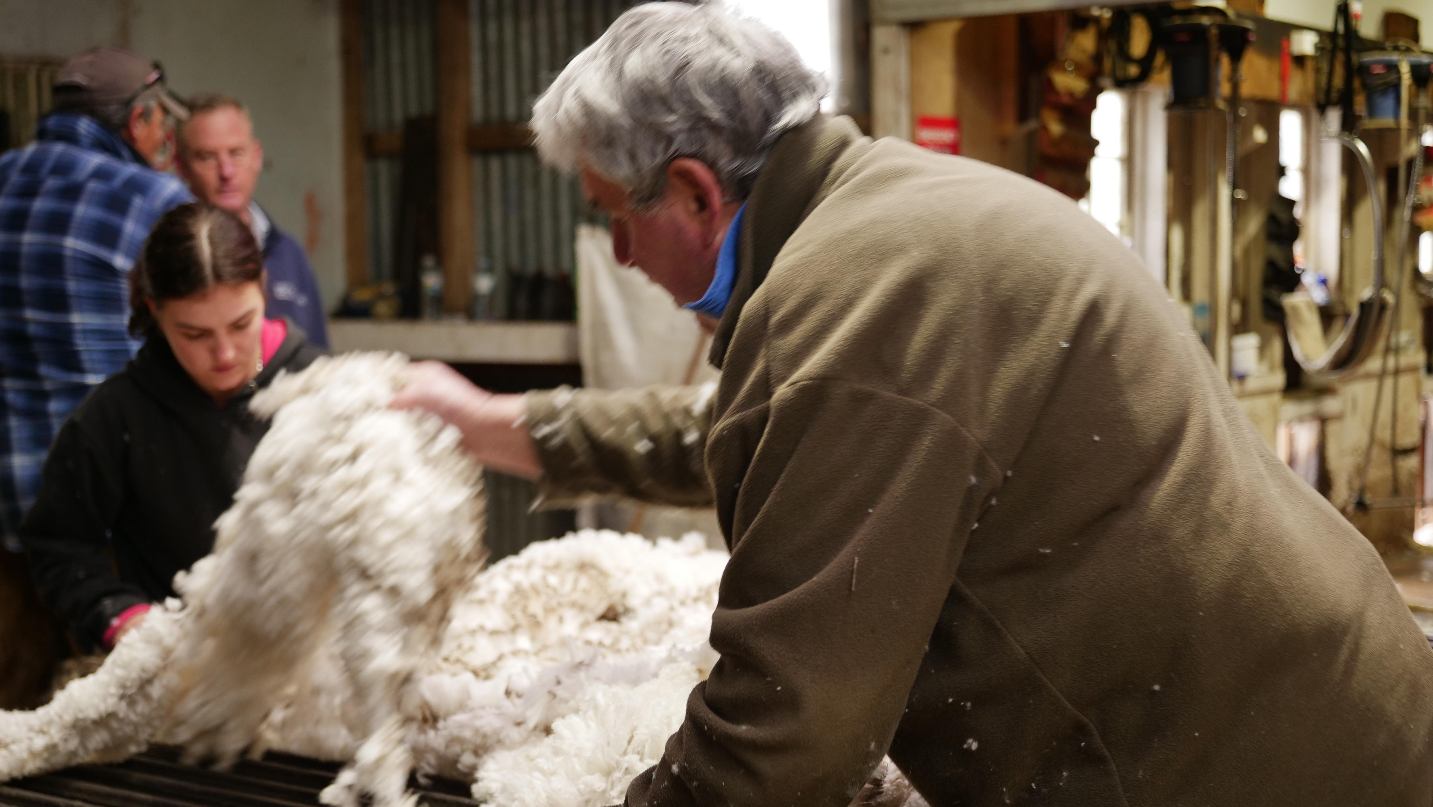 Majority of Australian wool classing trainees now women, as ageing