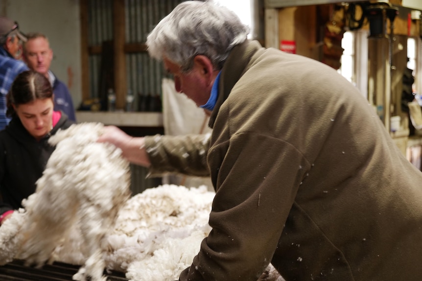 man and woman sorting through wool