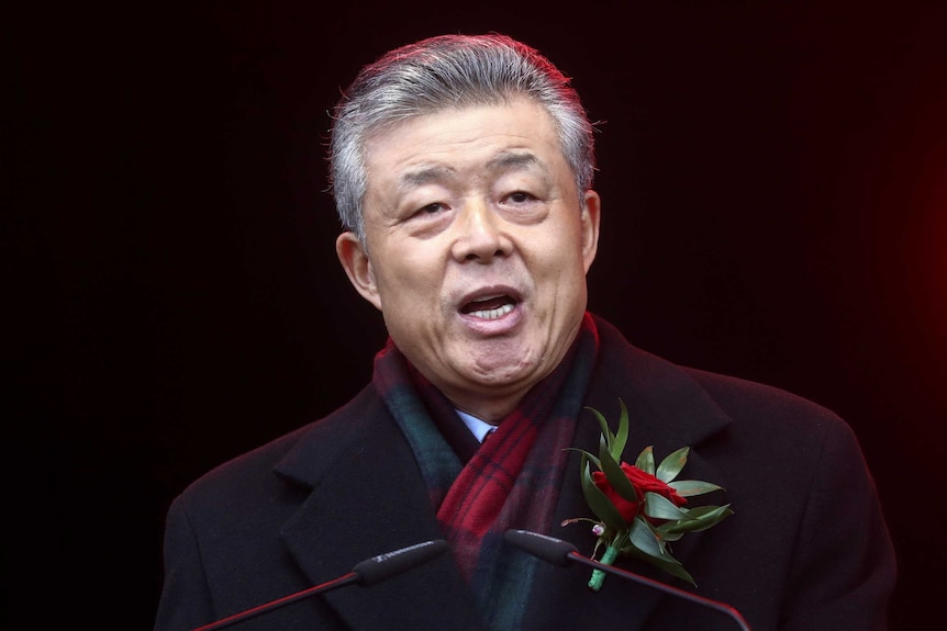 Chinese Ambassador to Britain Liu Xiaoming speaking in front of microphones with a red rose pinned to his lapel.