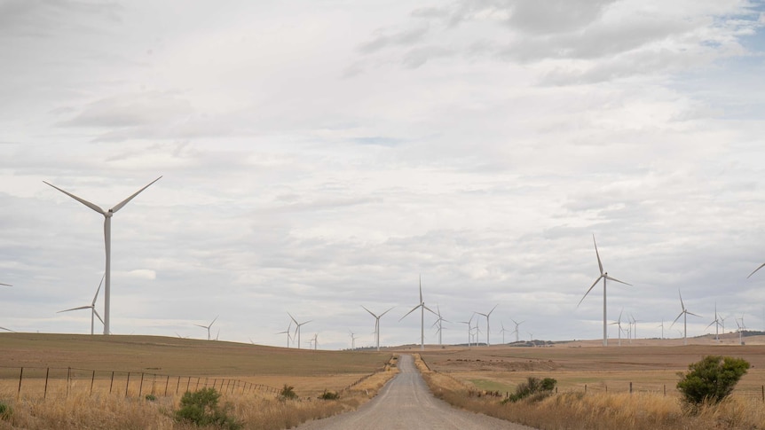 The wind farm near the Hornsdale Power Reserve in South Australia. The grass is yellow and the sky is cloudy.