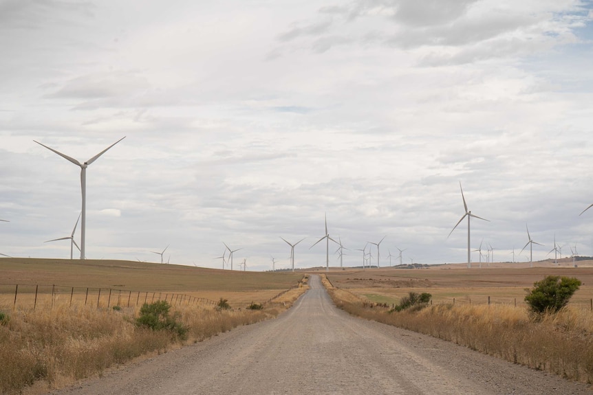 El parque eólico cerca de la Reserva de Energía de Hornsdale en Australia del Sur.  La hierba es amarilla y el cielo está nublado.