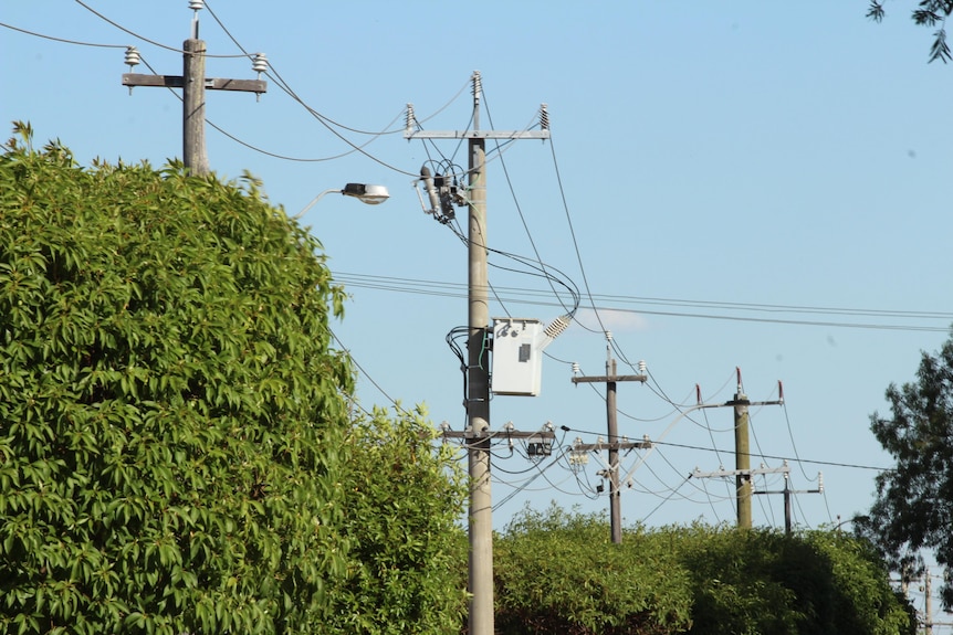 Overhead powerlines along a tree lined street 
