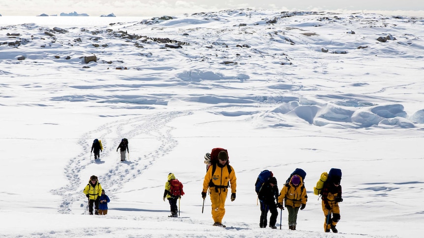 Antarctic researchers walking in snow