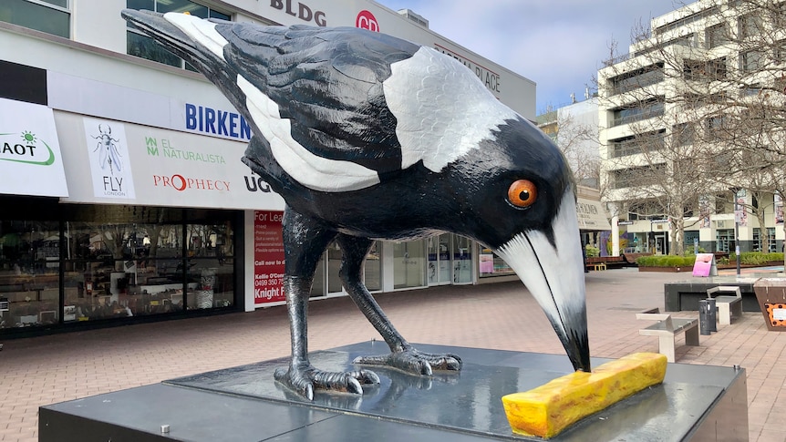Big Swoop magpie sculpture in Canberra's Garema Place