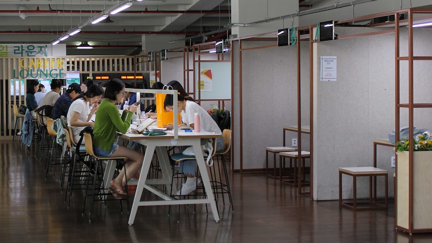 University students studying in a room.