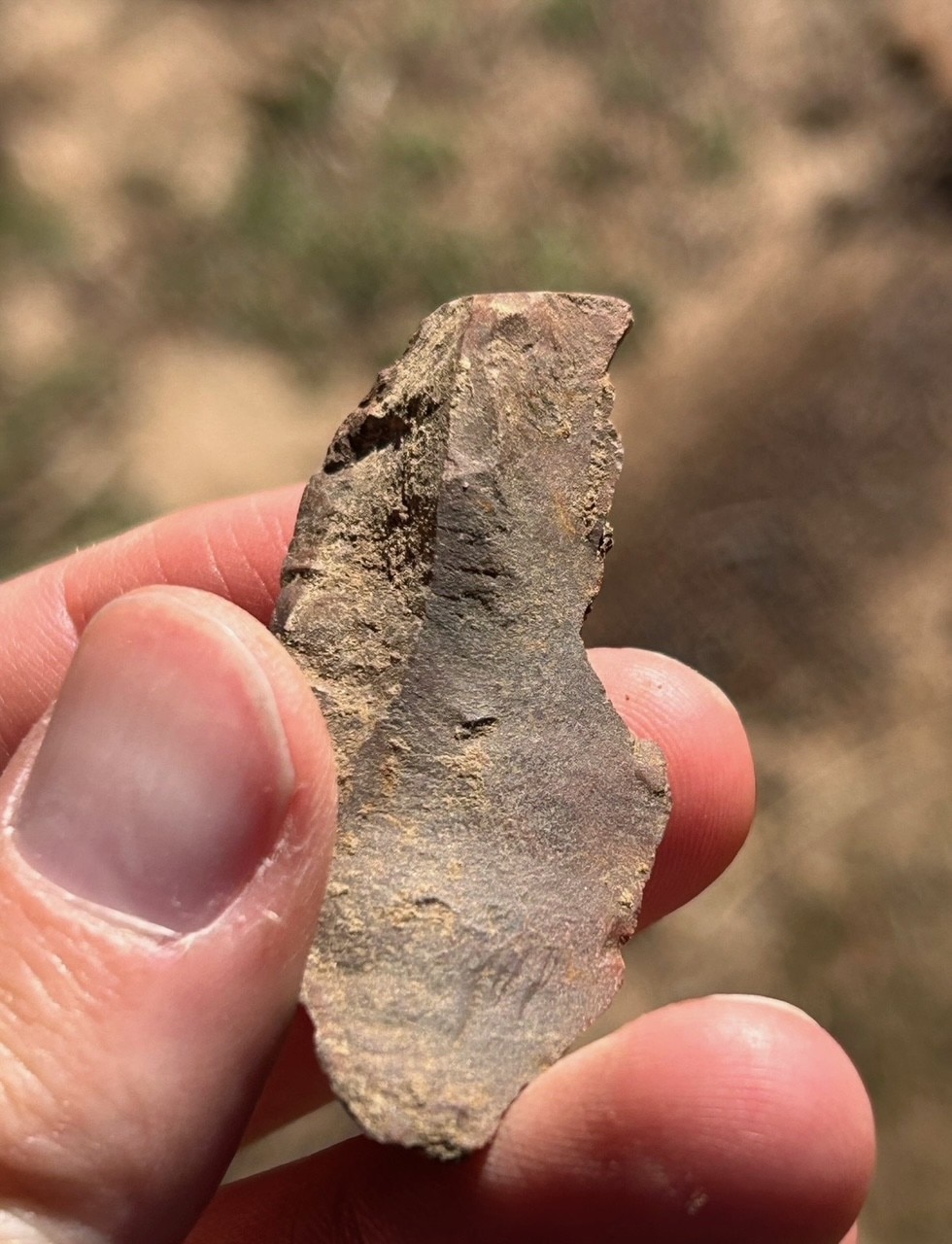 A brown coloured rock being held between fingers outside