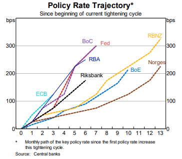 Graph showing the speed of major central bank rate rises.