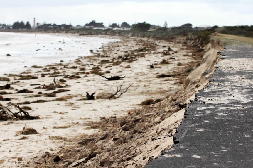 Wyomi beach bike track damage