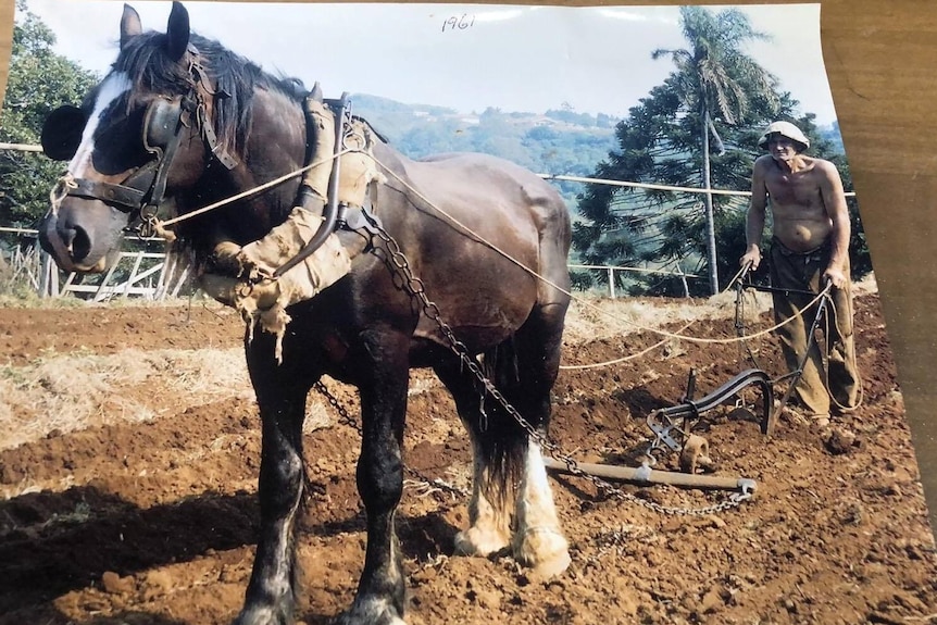 A man ploughing a field with a horse.