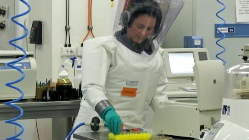 A CSIRO scientist works in the high containment laboratory at the Australian Animal Health Laboratory, studying highly infectious and deadly diseases.