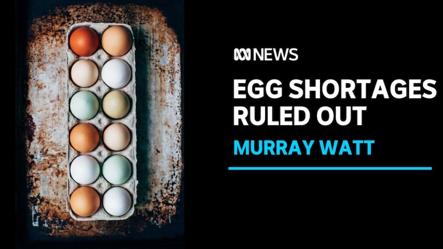 Egg Shortages Ruled Out, Murray Watt: Top-down view of a carton of multi-coloured eggs.
