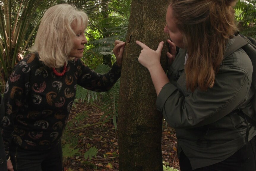 Karin and Tess point to a bug on a tree.