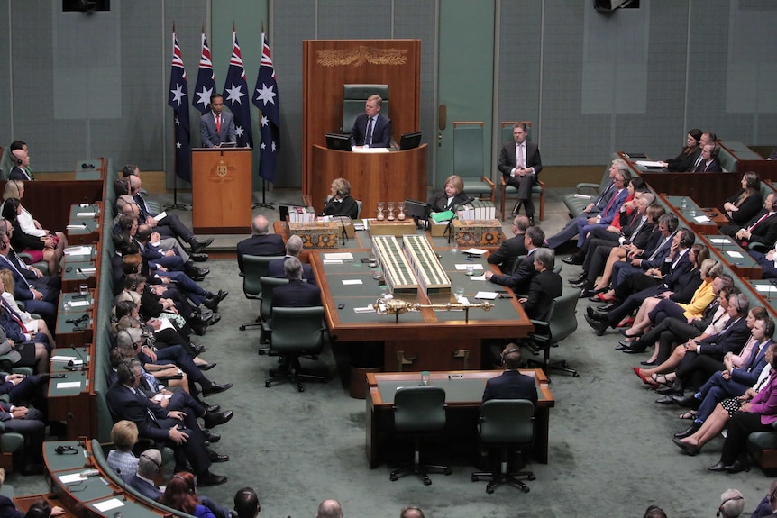 Joko Widodo speaks from a podium in front of Australian flags in a green-walled room