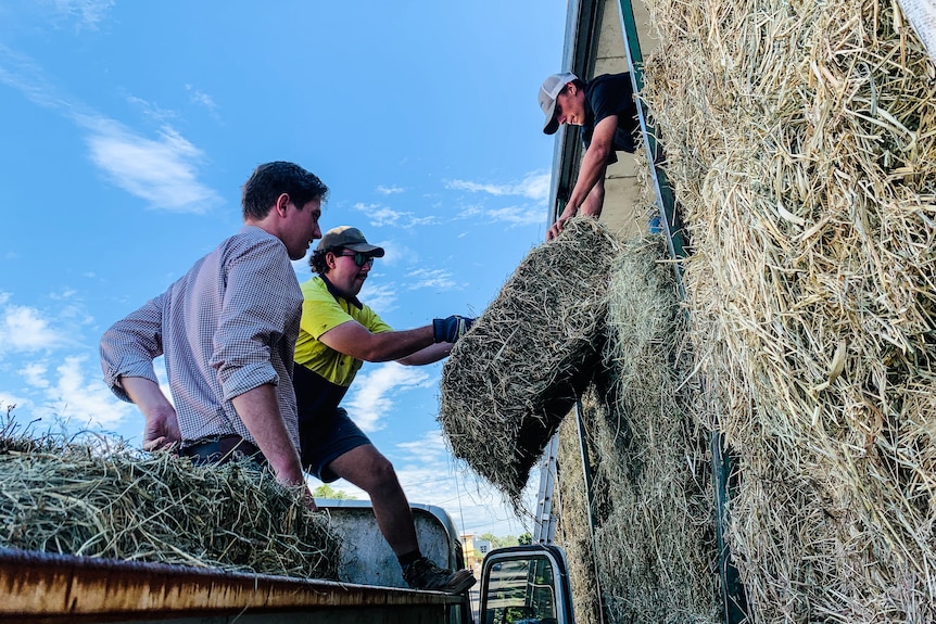 One man passes a bale of hay to a man on a ute.