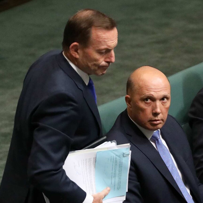 Peter Dutton and Julian Leeser look up at Tony Abbott as he walks past