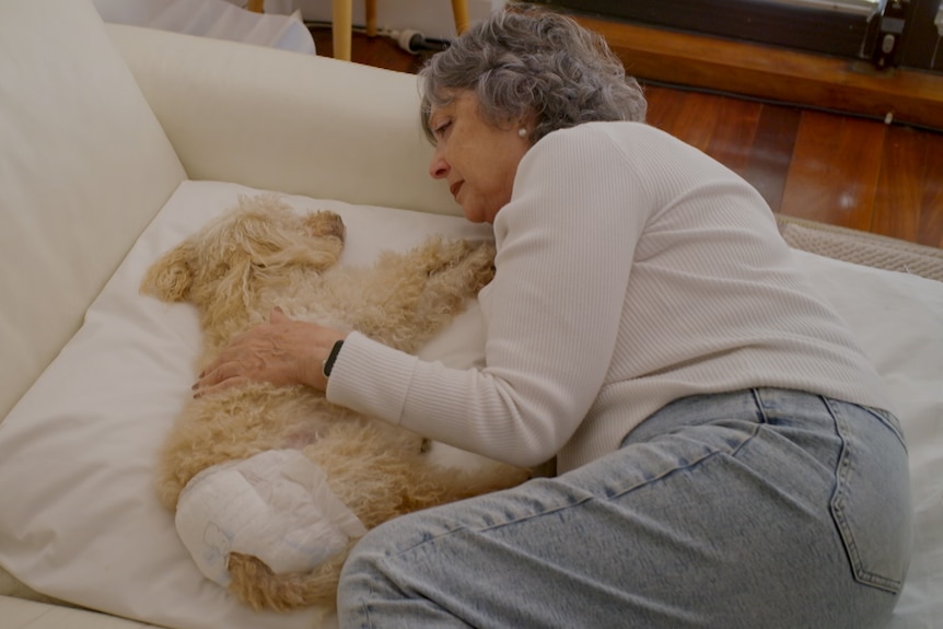 A woman lies next to a white scruffy dog on the couch, petting her. 