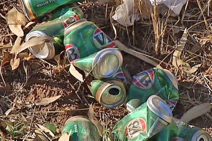 Beer cans on the ground.
