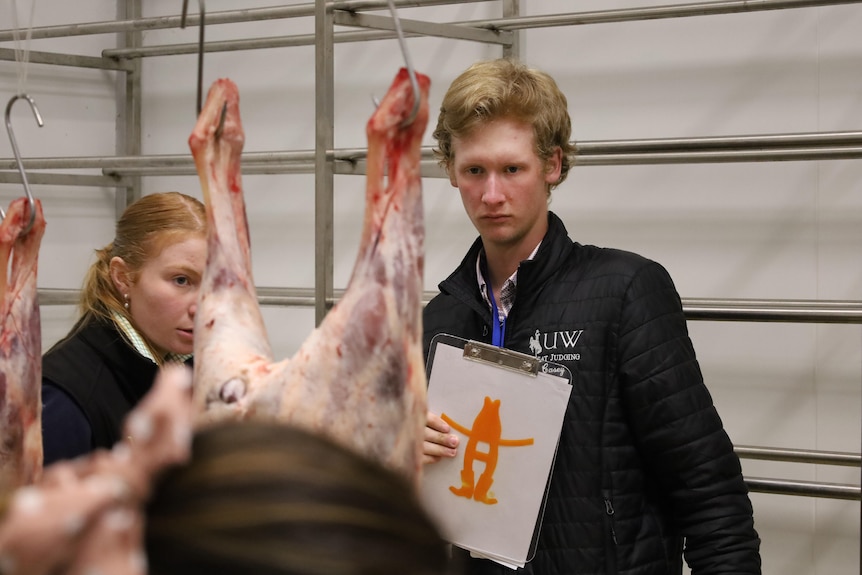 Two students look at a lamb carcass