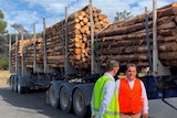 A man wearing a high vis orange vest stands in front of a truck laden with logs