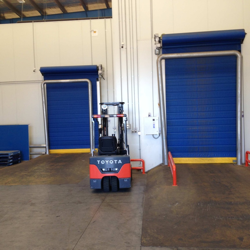 A forklift in a warehouse between two roller doors.
