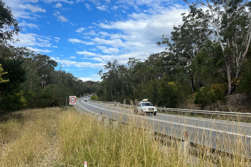 A stretch of road with cars on it with an 80km/h sign and brown grass in the foreground.
