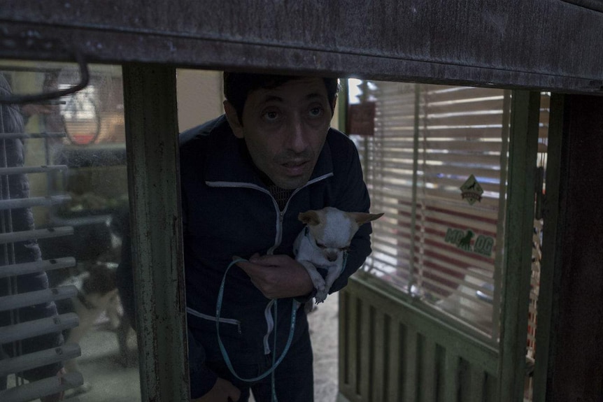 The actor peers out wearily from under a lowered door grate, holding a tiny chihuahua in his right hand.