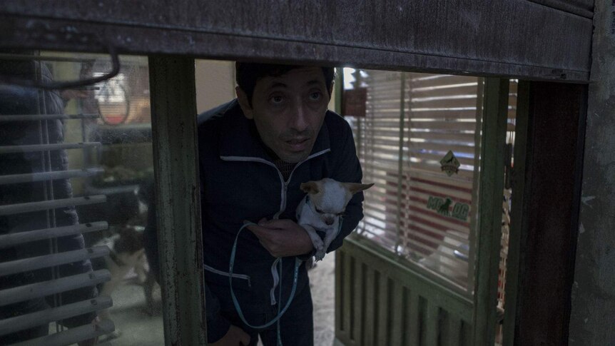 The actor peers out wearily from under a lowered door grate, holding a tiny chihuahua in his right hand.