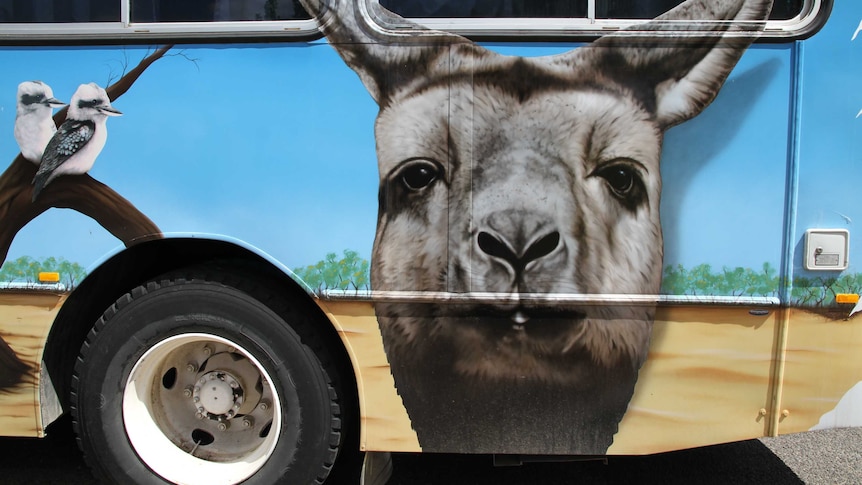 A mural of kookaburras and a kangaroo painted on the side of a bus.