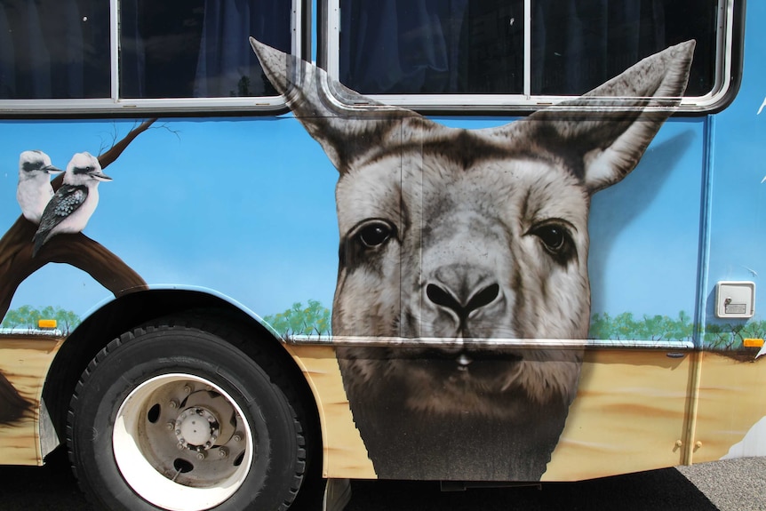 A mural of kookaburras and a kangaroo painted on the side of a bus.