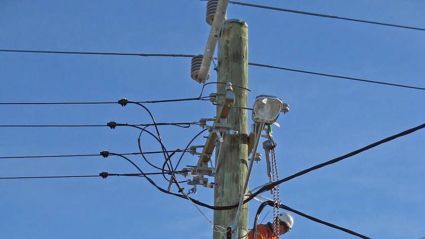 Electricity repair crew works on a power pole in Tasmania.