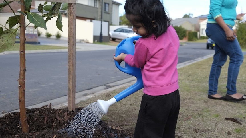 Girl waters a plant