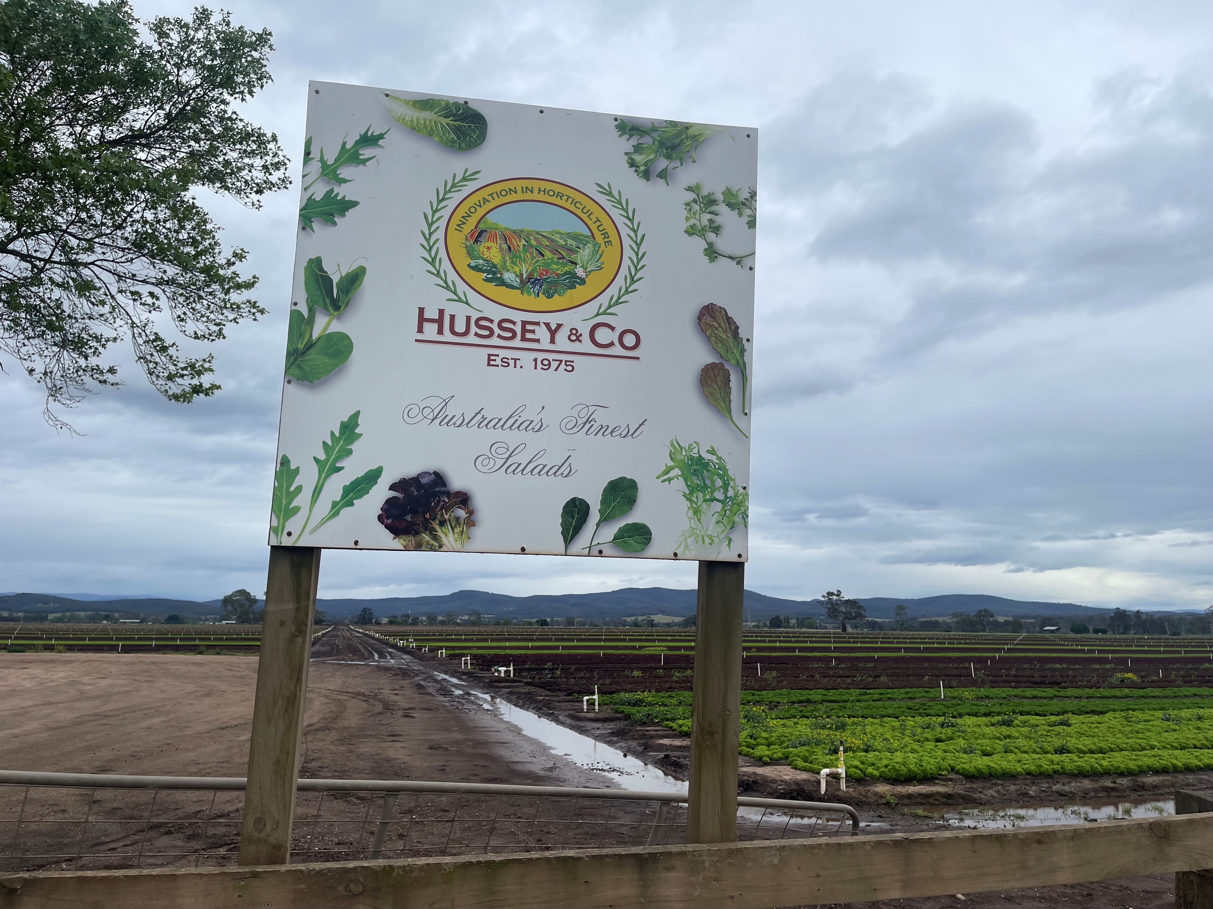 Un cartel en una granja que dice Hussey and Co