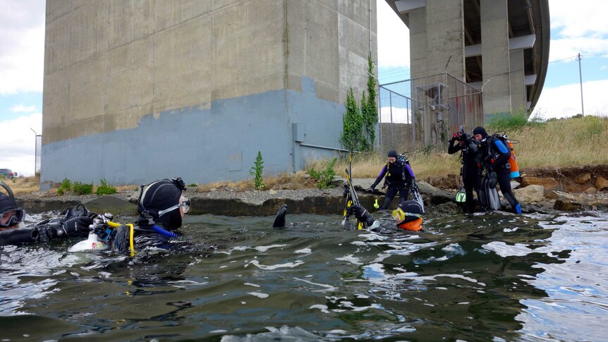 Divers in the water under a large concrete bridge
