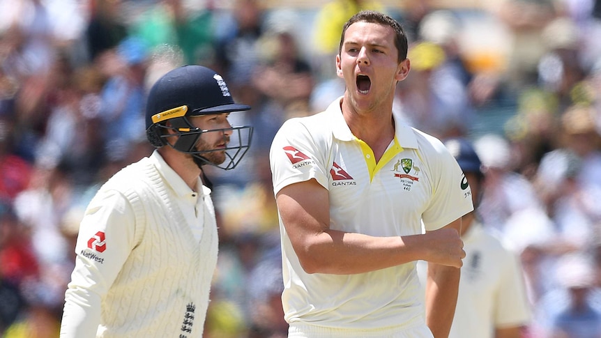 Australian bowler Josh Hazlewood reacts after dismissing England batsman Mark Stoneman.