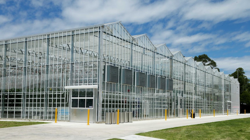 Modern Tall steel and glass structure housing plants, at Hawkesbury Campus of University Western Sydney