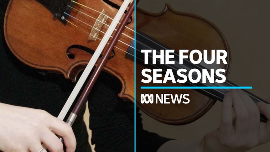 Vivaldi's ever popular Four Seasons brought to life by Queensland Symphony  Orchestra - ABC News