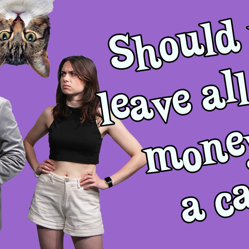 Should you leave all your money to a cat