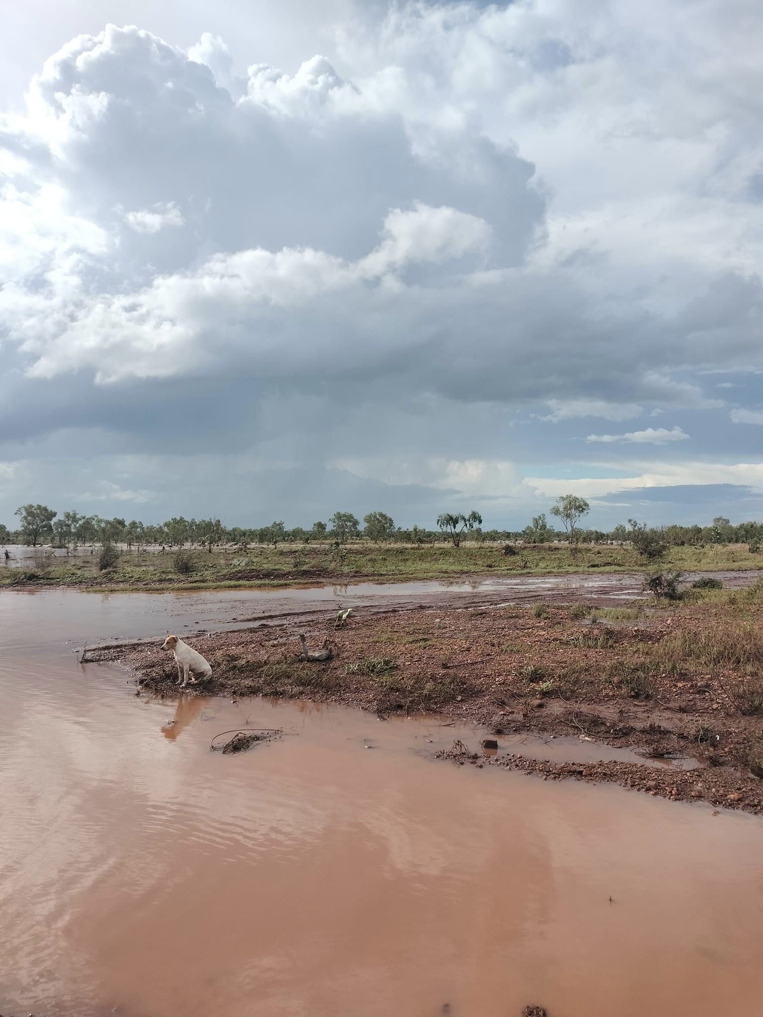 NT community of Pigeon Hole flooded twice in 12 months, as calls grow