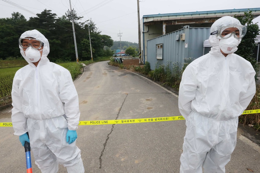 Health workers wear protective suits as a precaution against MERS