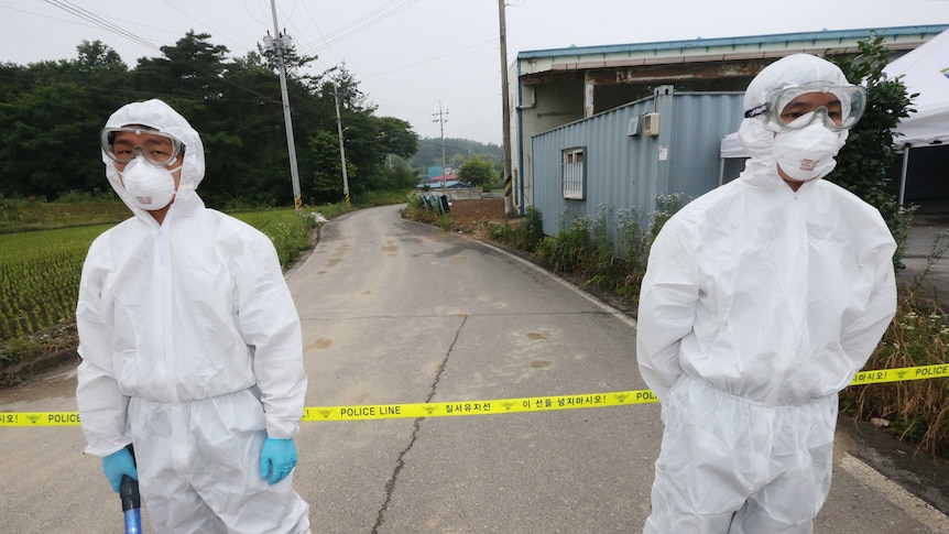 Health workers wear protective suits as a precaution against MERS.