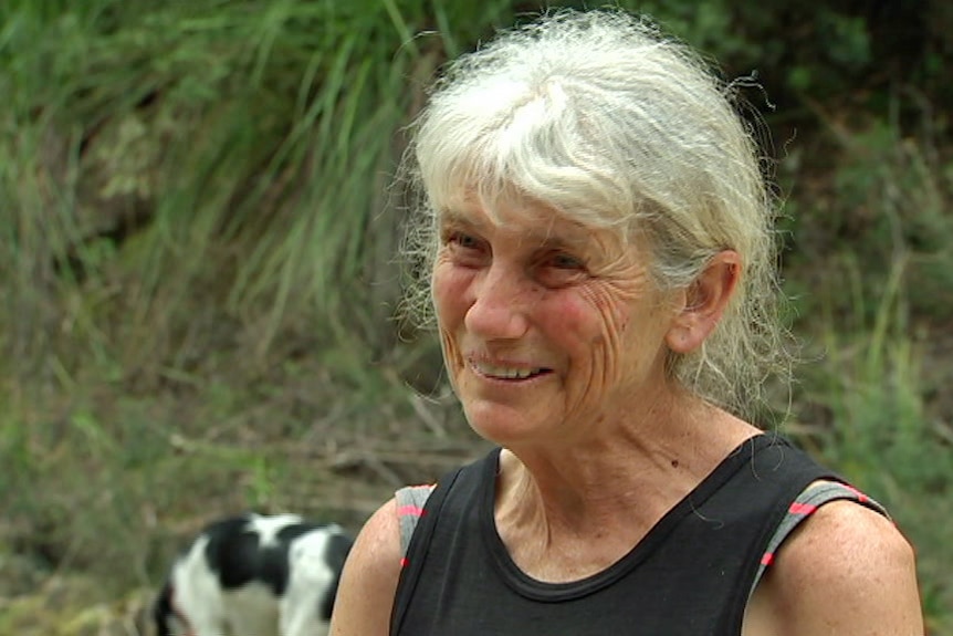 Wife of missing bushwalker Louise Fairfax