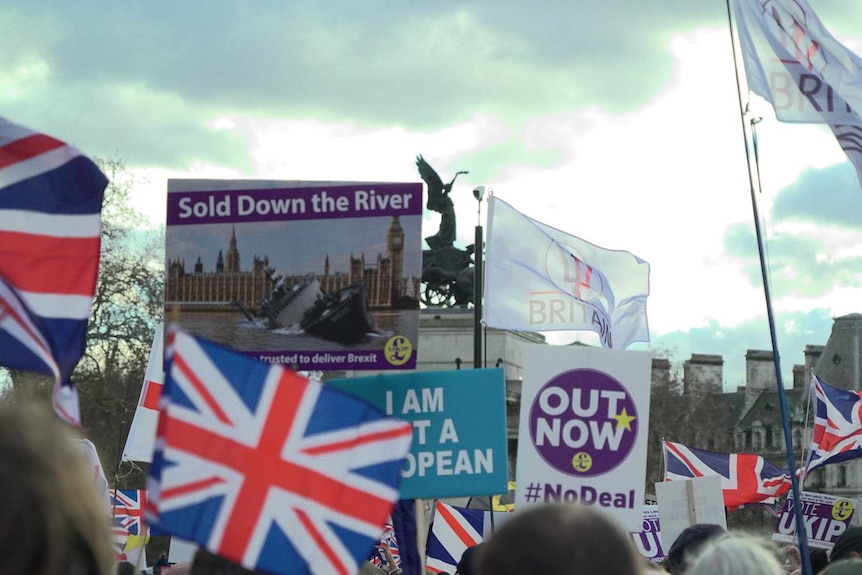 Protesters at the Brexit Betrayal march at Wellington Arch.