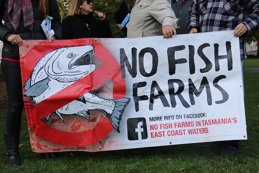 Close-up of sign held by people gathered in a Hobart park to protest Tassal's salmon farming expansion plans.