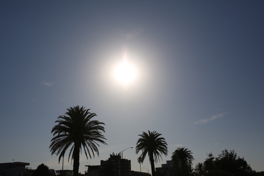 St Kilda beach