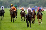 Fallen for you wins Coronation Stakes